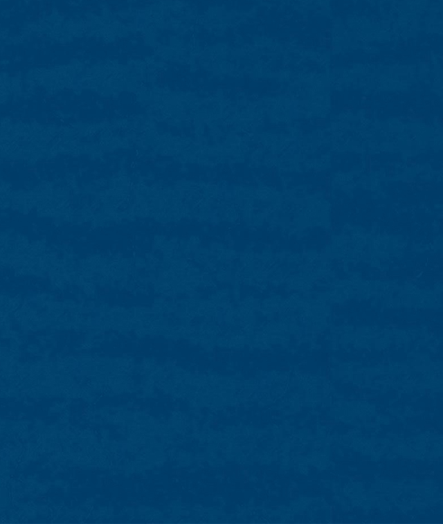 YGL6005海軍藍(lán)